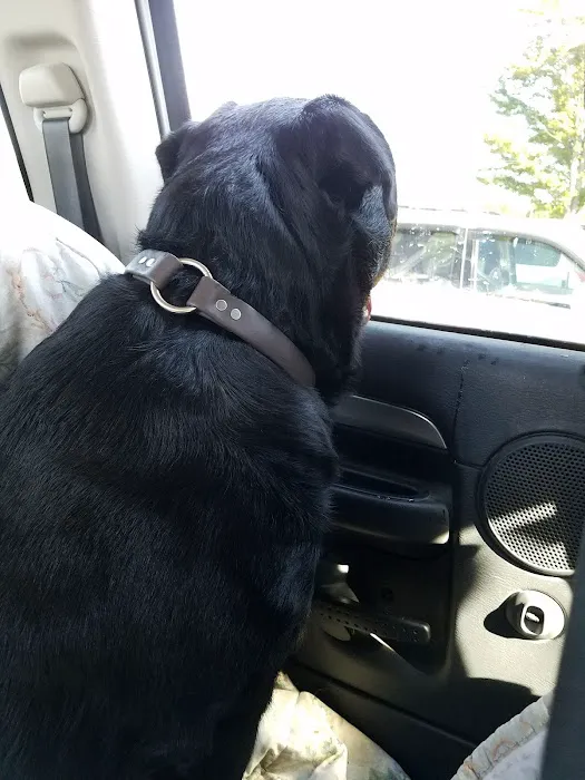 Golden Valley Animal Clinic Picture 4