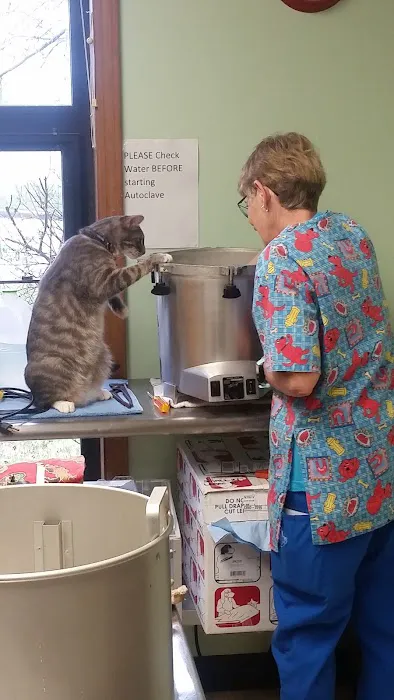 Golden Valley Animal Clinic Picture 6