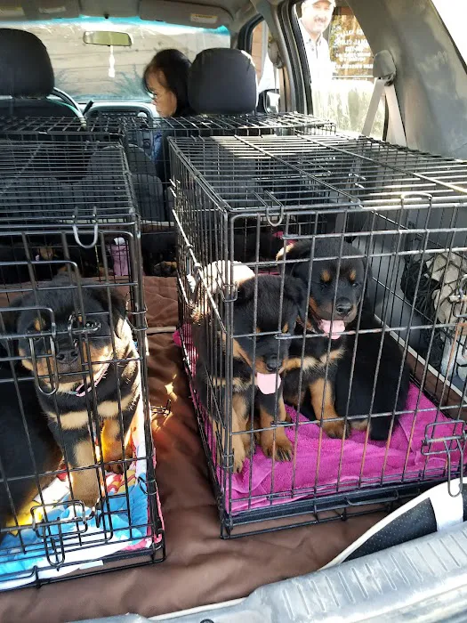 Golden Valley Animal Clinic Picture 5