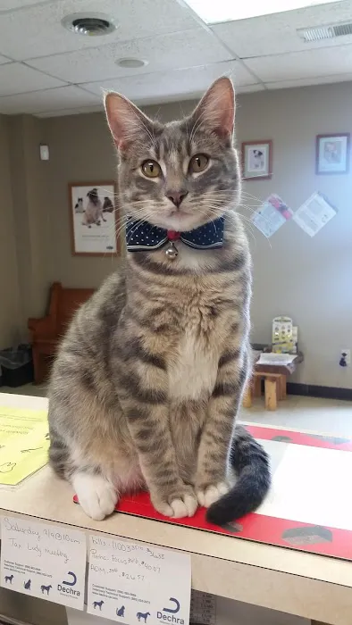 Golden Valley Animal Clinic Picture 9