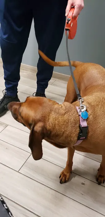 Lifetime Animal Center Picture 2