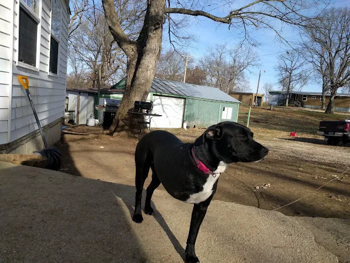 Lifetime Animal Center Picture 1