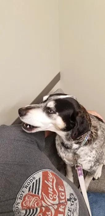 Lifetime Animal Center Picture 5