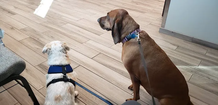 Lifetime Animal Center Picture 3