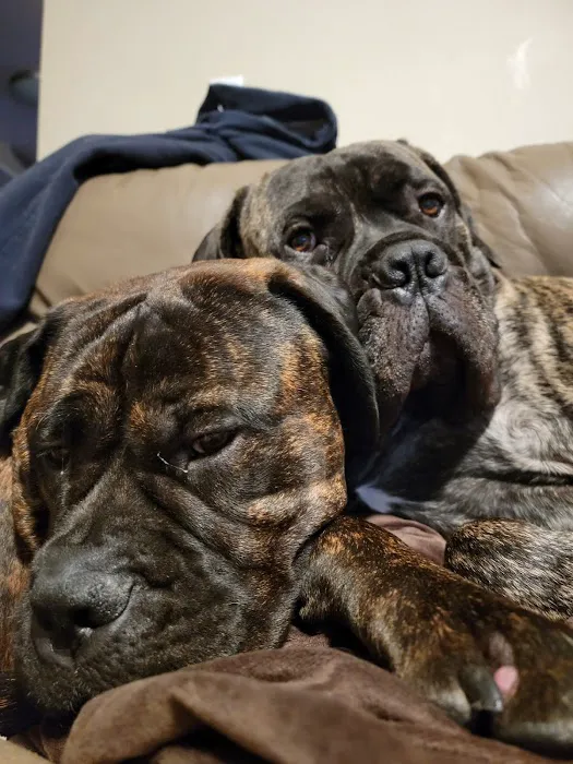 Lifetime Animal Center Picture 6