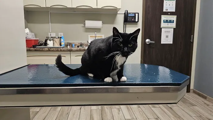 Lifetime Animal Center Picture 8