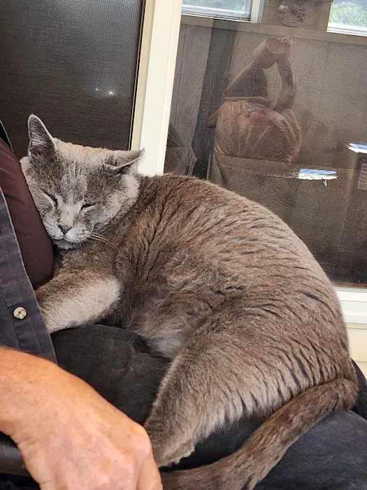 Lifetime Animal Center Picture 10