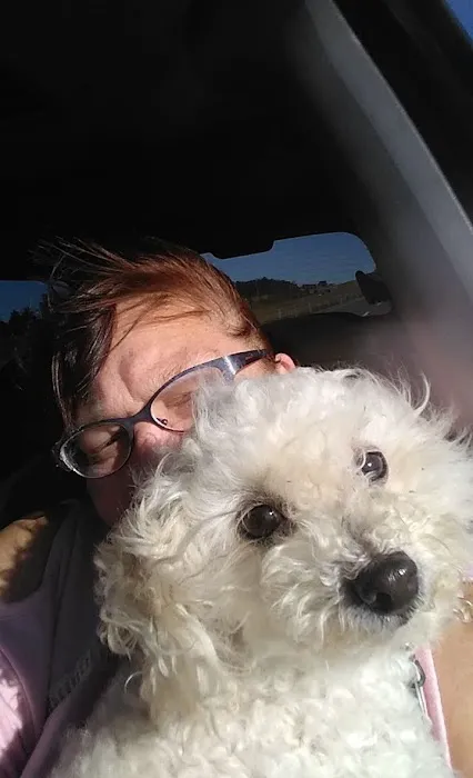 Golden Valley Animal Hospital Picture 2