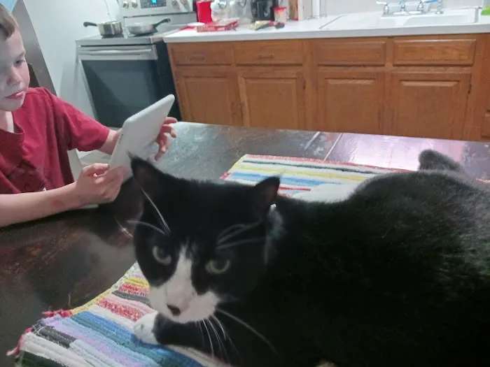 Golden Valley Animal Hospital Picture 3