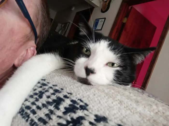 Golden Valley Animal Hospital Picture 7