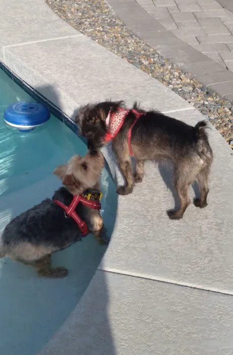 Vienna Veterinary Clinic Picture 1