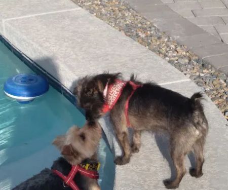 Vienna Veterinary Clinic