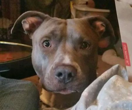 Brown Veterinary Clinic