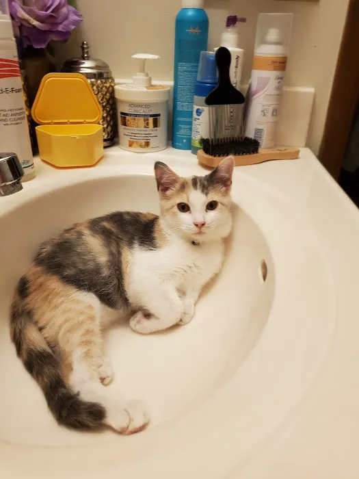 Brown Veterinary Clinic Picture 5