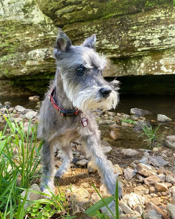 Brown Veterinary Clinic Picture 7