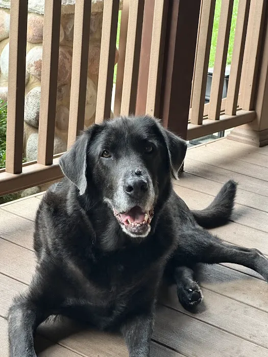 Brown Veterinary Clinic Picture 8