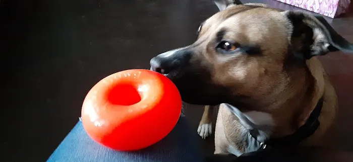 Brown Veterinary Clinic Picture 10