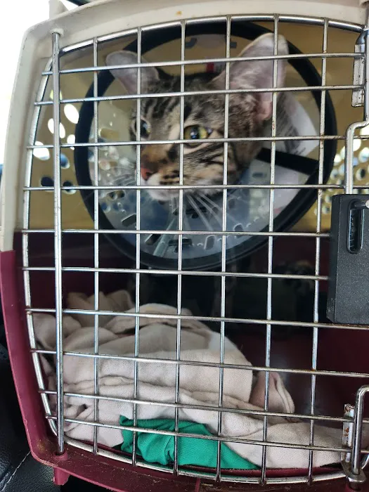 Carol House Quick Fix Pet Clinic Picture 3