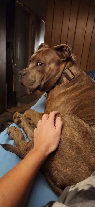 Carol House Quick Fix Pet Clinic Picture 8