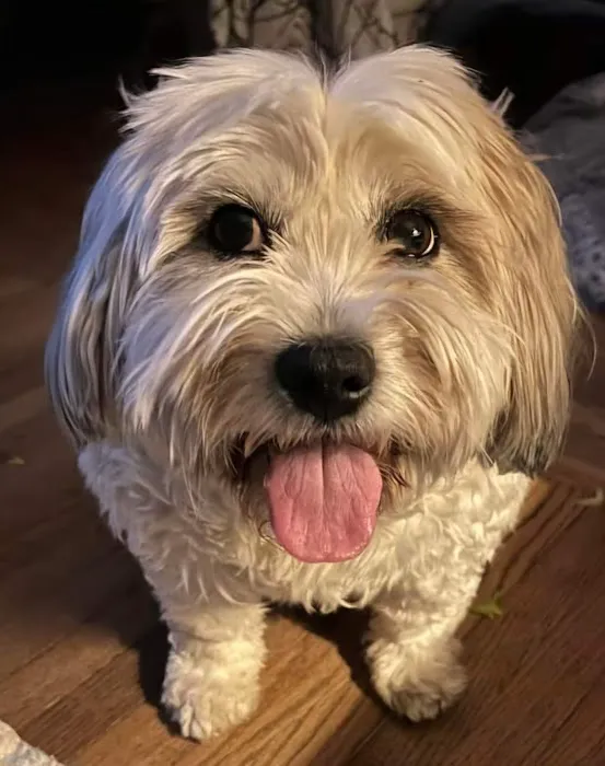 Heartland Veterinarian Clinic Picture 1