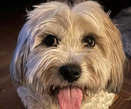 Heartland Veterinarian Clinic