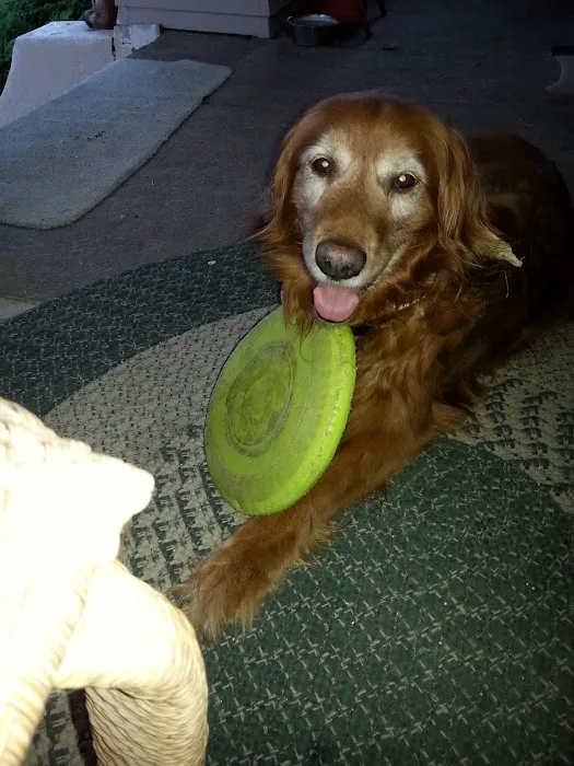 Sunrise Hill Veterinary Hospital Picture 3