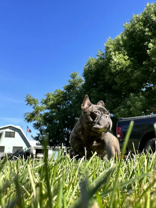 Sunrise Hill Veterinary Hospital Picture 1