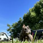 Sunrise Hill Veterinary Hospital