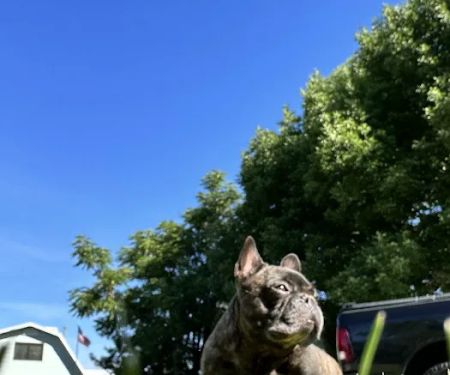 Sunrise Hill Veterinary Hospital