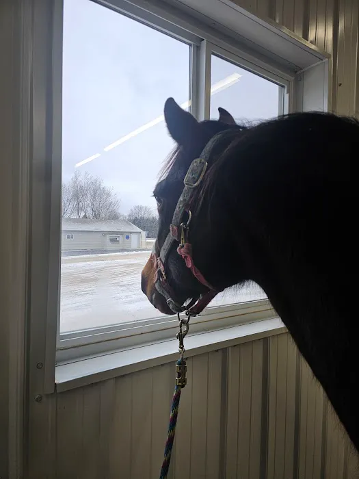 Twin Lakes Animal Clinic Picture 1