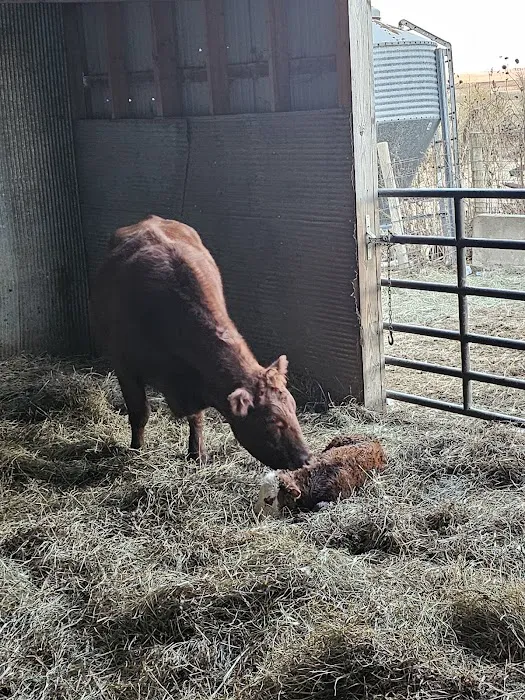 Twin Lakes Animal Clinic Picture 2