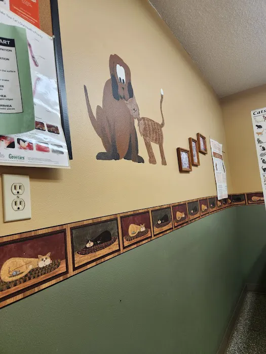 Twin Lakes Animal Clinic Picture 4