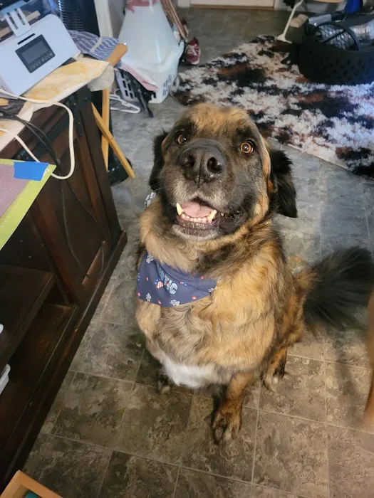 Twin Lakes Animal Clinic Picture 8