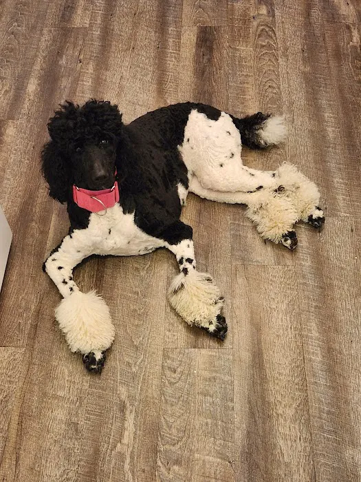 Twin Lakes Animal Clinic Picture 6