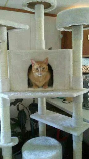 Twin Lakes Animal Clinic Picture 9