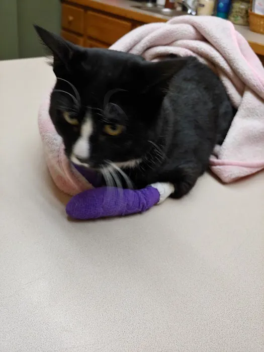 Twin Lakes Animal Clinic Picture 10