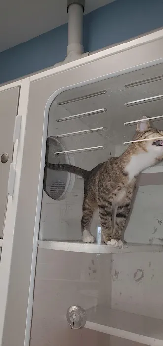 Blue Valley Veterinary Clinic Picture 1