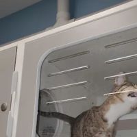 Blue Valley Veterinary Clinic ico