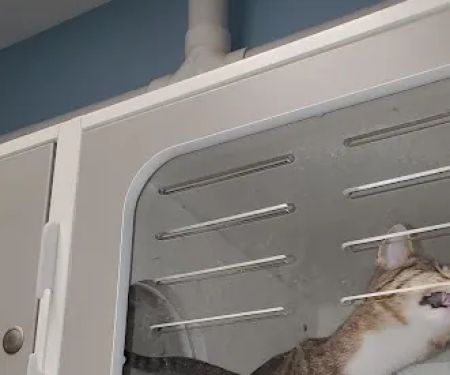 Blue Valley Veterinary Clinic