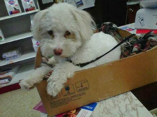 Blue Valley Veterinary Clinic Picture 6