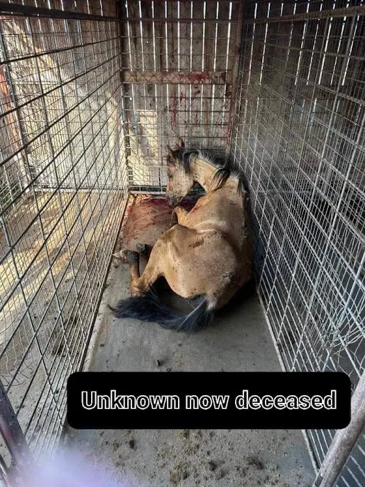 Blue Valley Veterinary Clinic Picture 10