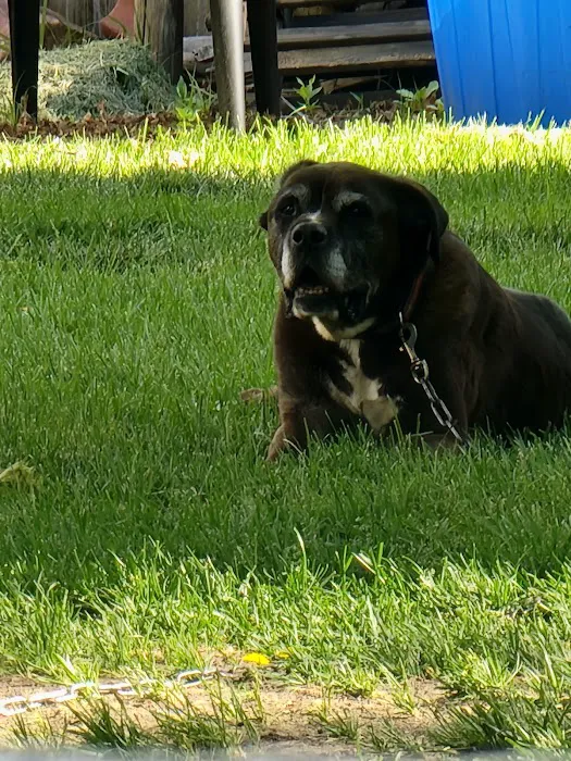 Plymouth Veterinary Clinic Picture 2