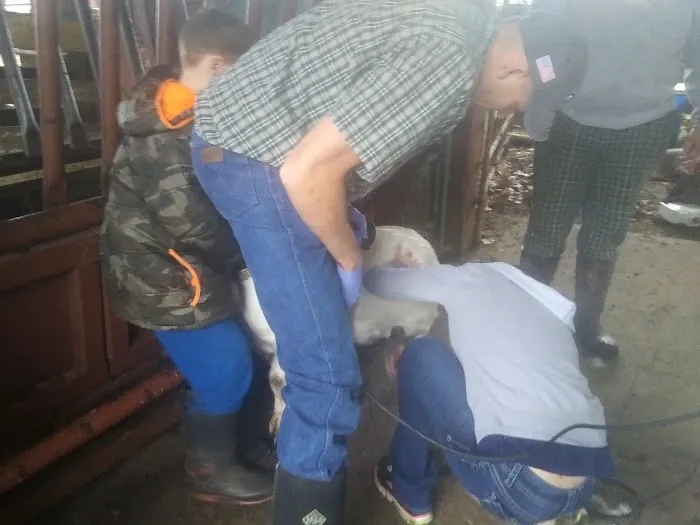 Plymouth Veterinary Clinic Picture 1