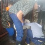 Plymouth Veterinary Clinic