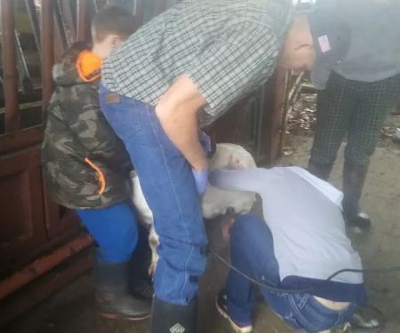 Plymouth Veterinary Clinic