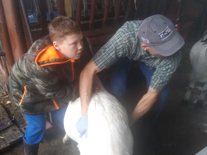 Plymouth Veterinary Clinic Picture 3