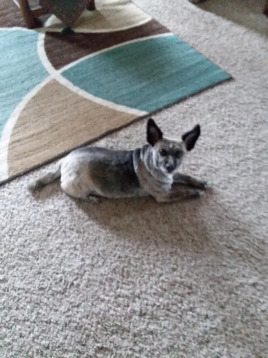 Plymouth Veterinary Clinic Picture 5