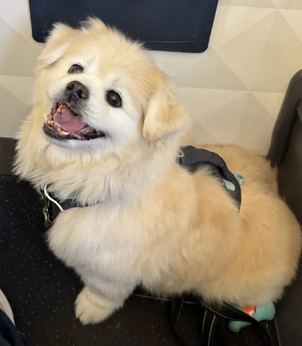 Lothrop Animal Clinic Picture 2