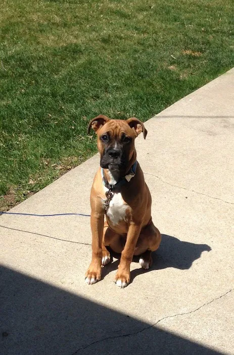 Lothrop Animal Clinic Picture 3