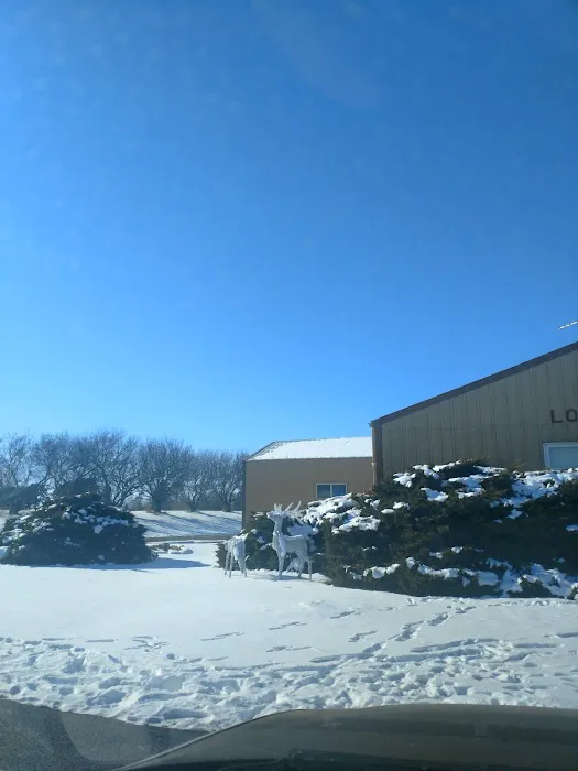 Lothrop Animal Clinic Picture 5